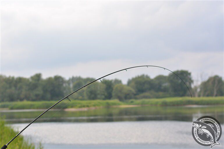 Canne à Pêche Voyage DAM Effzett Evidence – 2,40m 4 Brins – Lancer 25-60g – Spinning