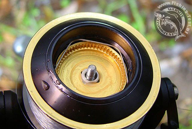 Daiwa Infinity Q 3000 Zaion - Fishing Test