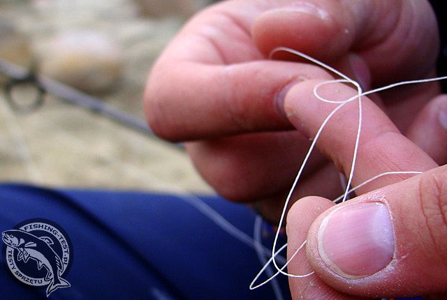 Plecionka Berkley Whiplash Crystal - Fishing Test