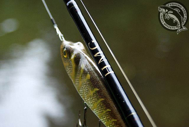 Fenwick HMG GT 66M-F - Fishing Test